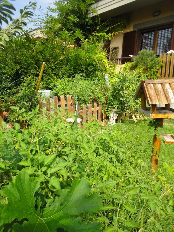 Girasolereale Bed And Breakfast Roma Ngoại thất bức ảnh